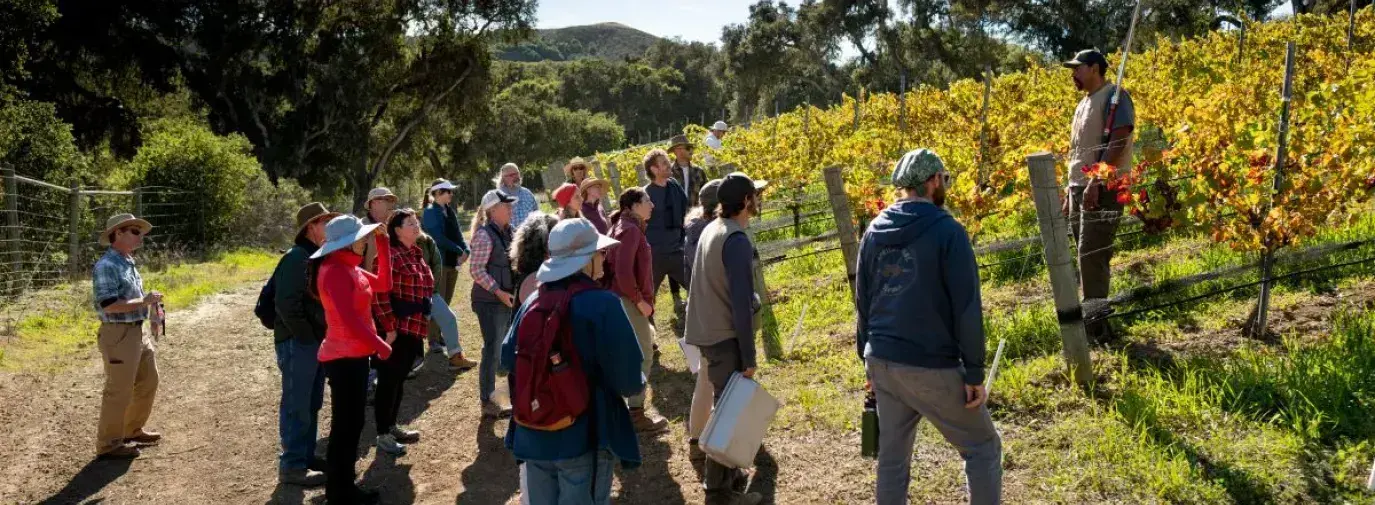 Jesse Smith stands on the edge of a vineyard speaking to about 20 people. He is hosting a workshop on nutrient cycling.